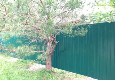 Богородский район д.Выползовово забор из профнастила высота 2 метра