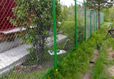 Забор из зелёной сетки рабица