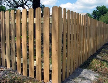 Забор для дачи из штакетника из сосны
