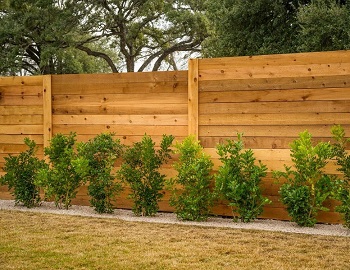 Сплошной деревянный забор